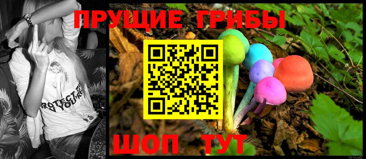 Галлюциногенные грибы Psilocybe Лесозаводск