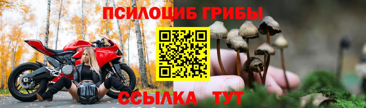 Галлюциногенные грибы MAGIC MUSHROOMS  Вход с VPN  Лесозаводск  Псилоцибиновые грибы GOLDEN TEACHER 
